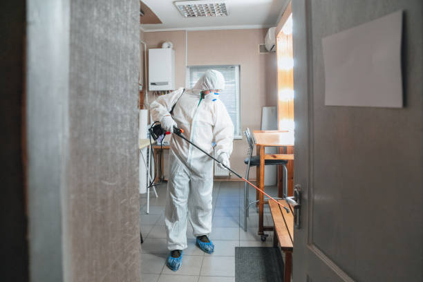 Forensic Mold Investigation in Newark, CA