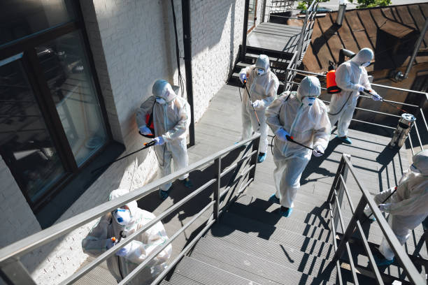 Professional Mold Removal in Newark, CA